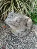 Artikelbild 1 des Artikels “Frosch, ca. 23cm. Steinguss “